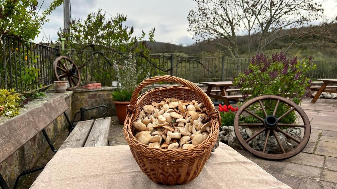 La Posada Del Santuario Nava de Santullán Extérieur photo